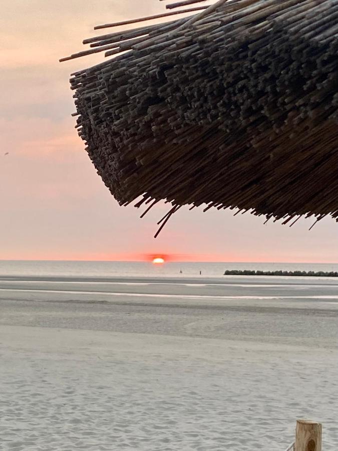 Appartement Sur La Plage De Malo Les Bains Vue Mer 敦刻尔克 外观 照片