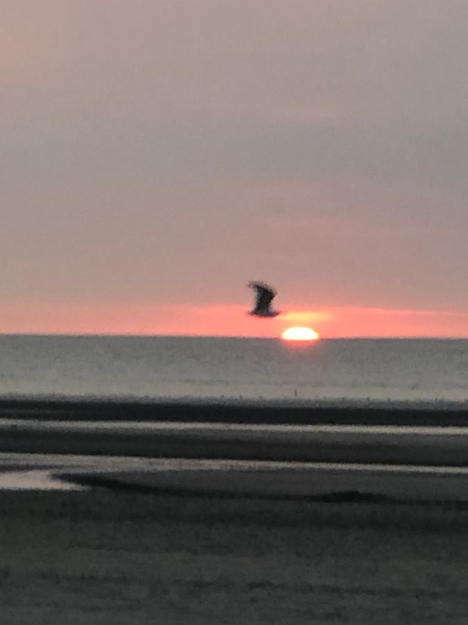 Appartement Sur La Plage De Malo Les Bains Vue Mer 敦刻尔克 外观 照片