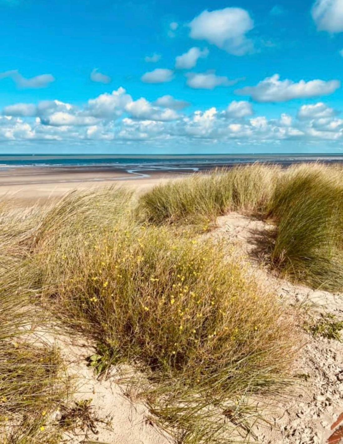 Appartement Sur La Plage De Malo Les Bains Vue Mer 敦刻尔克 外观 照片